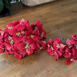 Large & Small Red Poinsettia Stems